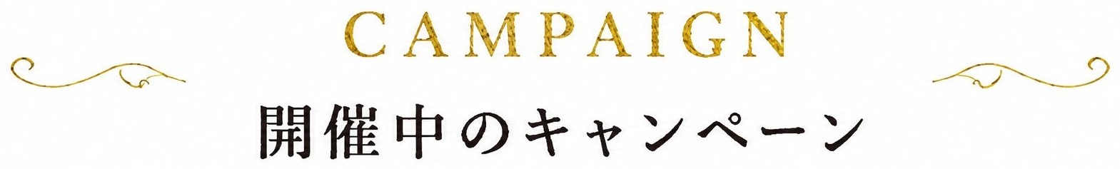 開催中のキャンペーン