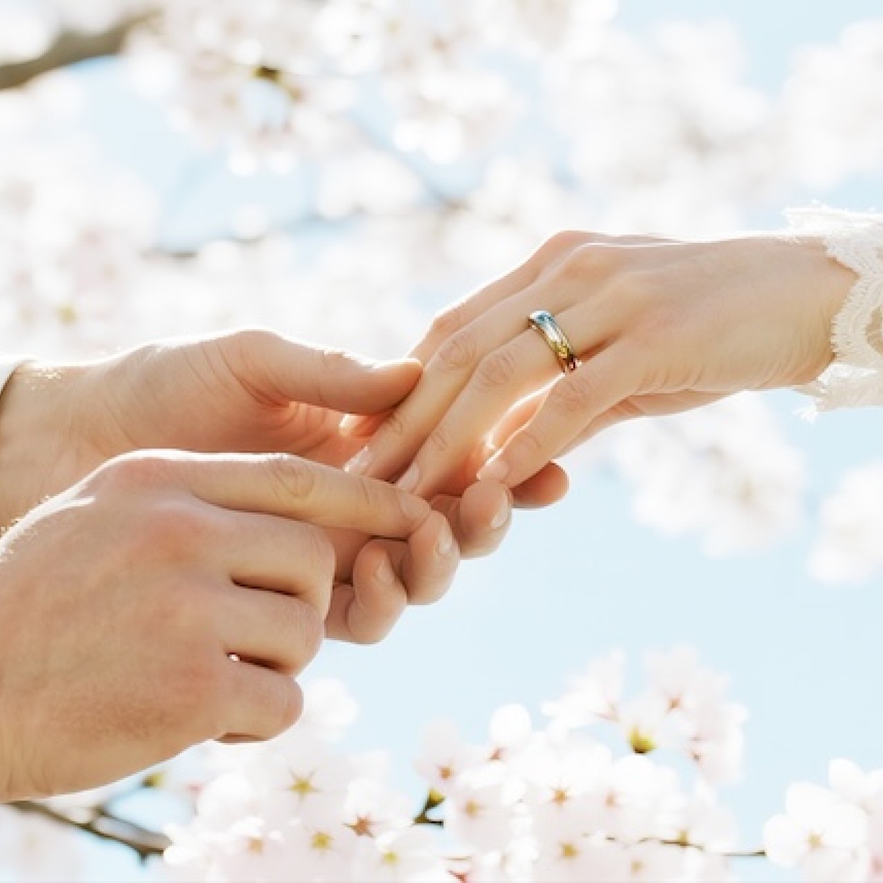 桜の季節に残す、ふたりのはじまり〜春限定 　桜ウェディングフォトキャンペーン〜